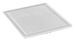 Braadplaat 900 G