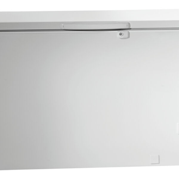 Vriezer 391-W